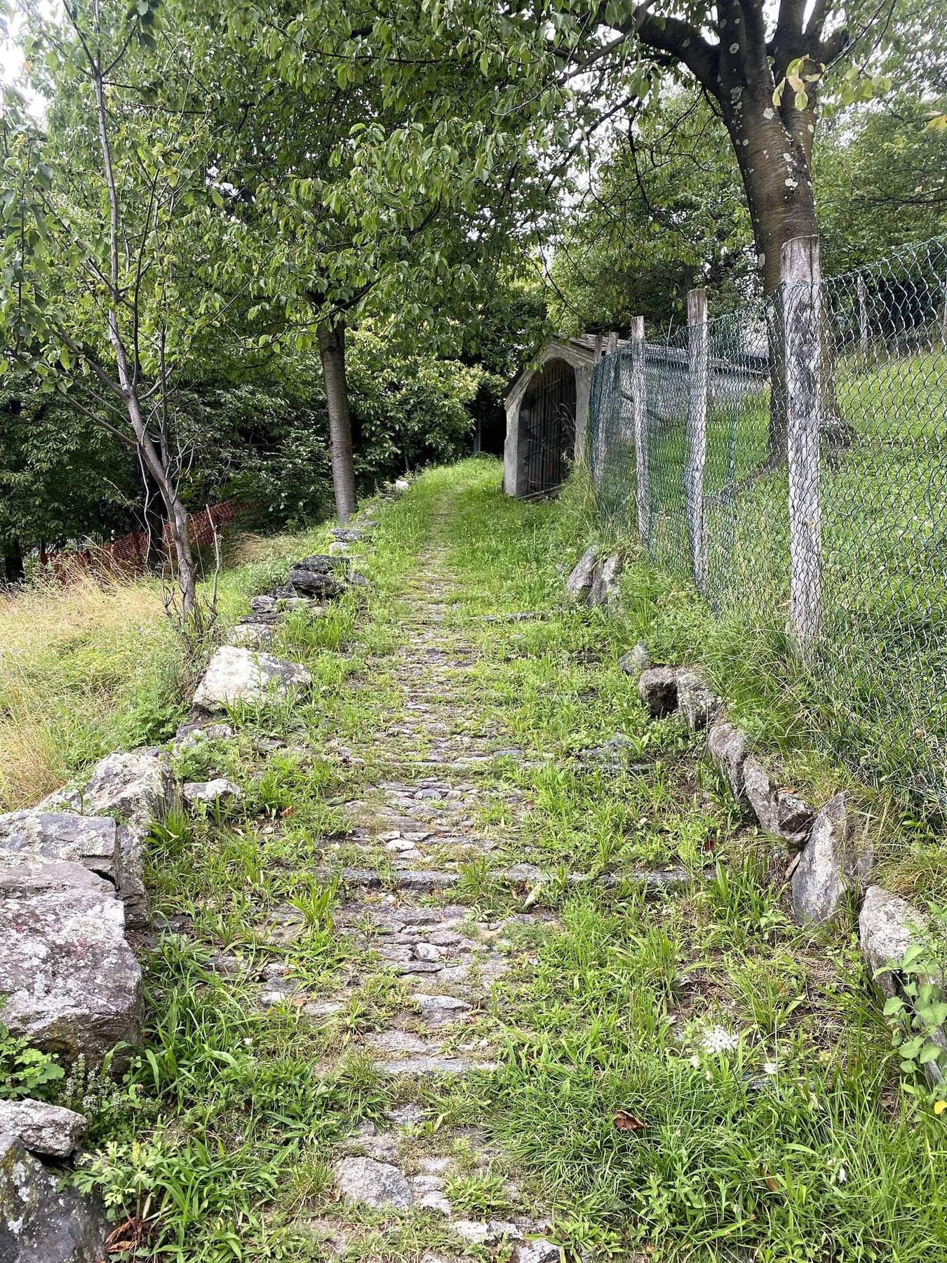 Gammel steinlagt muldyrsti gjennom skogen i fjellsiden